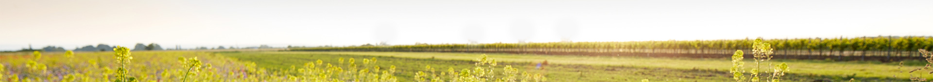 Toutes nos annonces de terrains + maisons